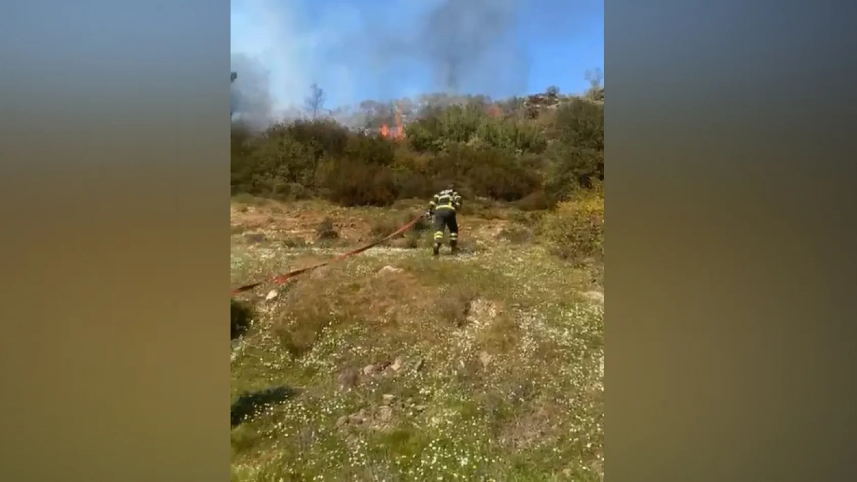 Muğla'da çalılık yangını korkuttu! Hızlı müdahale ile büyümeden söndürüldü