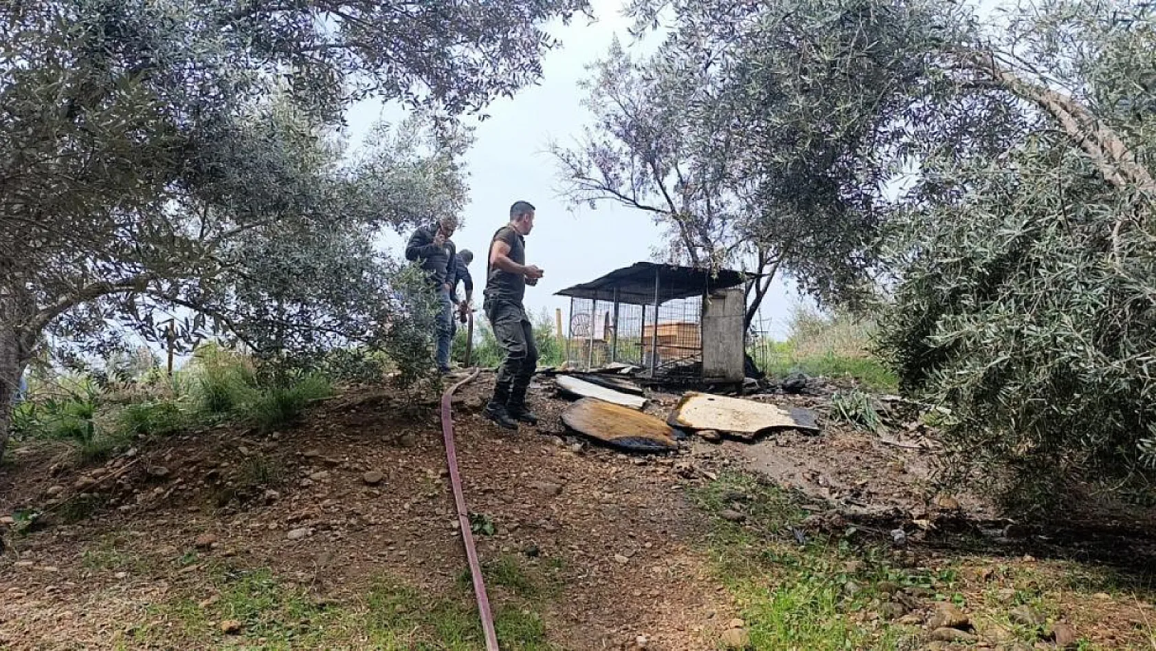 Ormanlık alandaki tavuk kümesi alev aldı! ekipler hemen müdahale etti