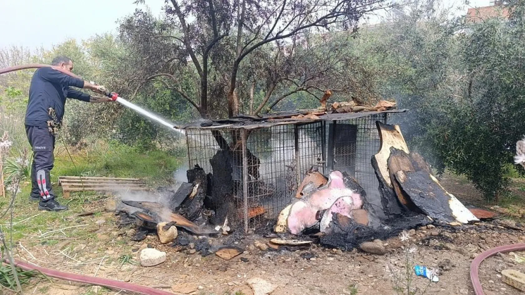 Ormanlık alandaki tavuk kümesi alev aldı! ekipler hemen müdahale etti