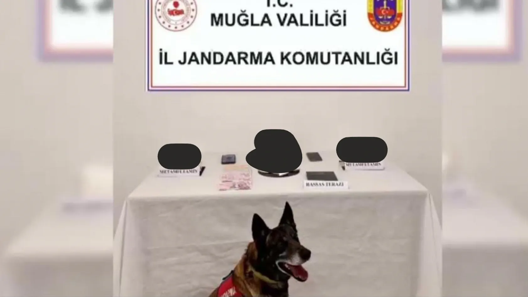 Muğla'da uyuşturucu operasyonunda 1 tutuklama