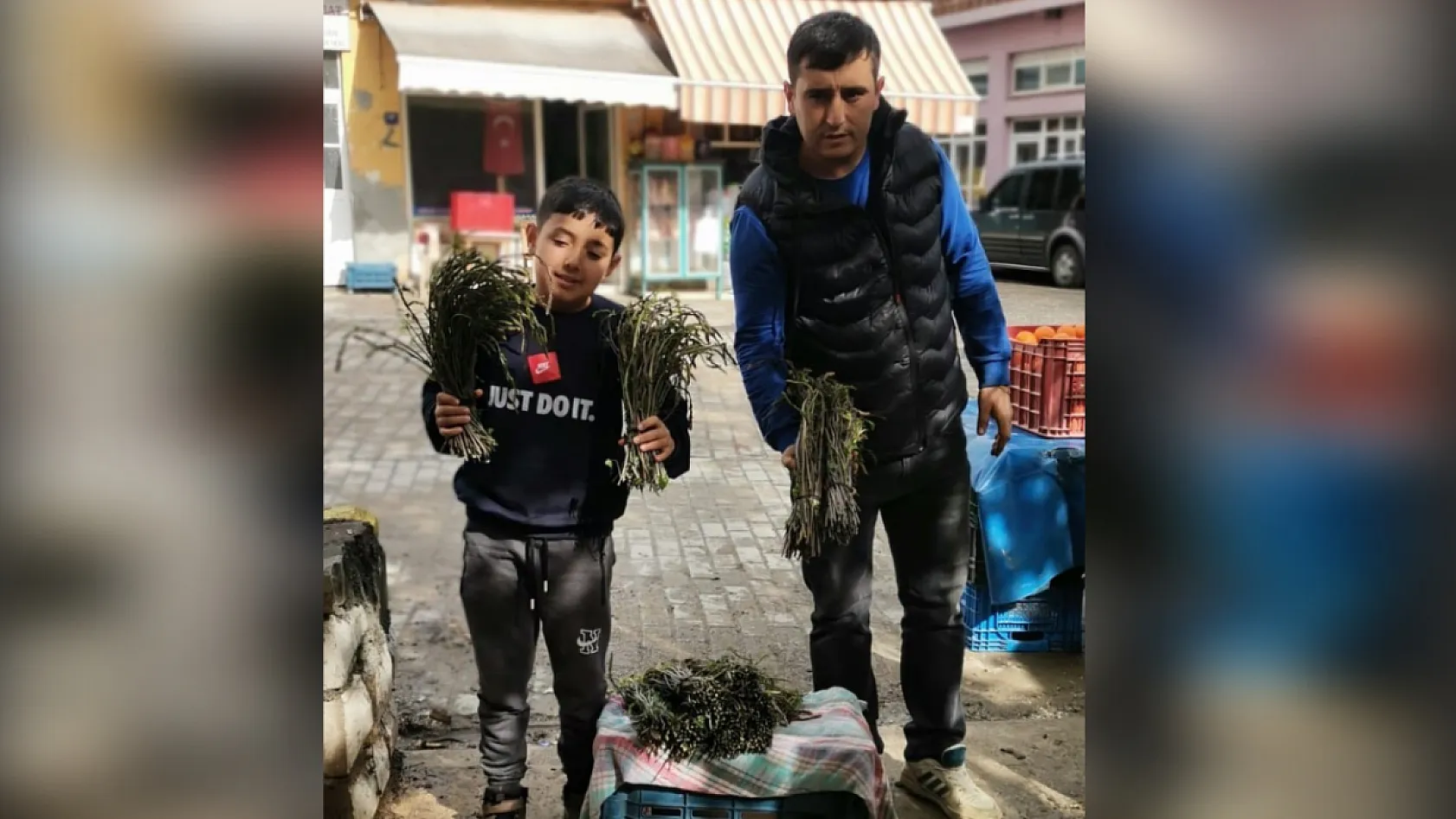 Kendiliğinden yetişen bu otlar garibanın cüzdanını zenginin sofralarını süslüyor
