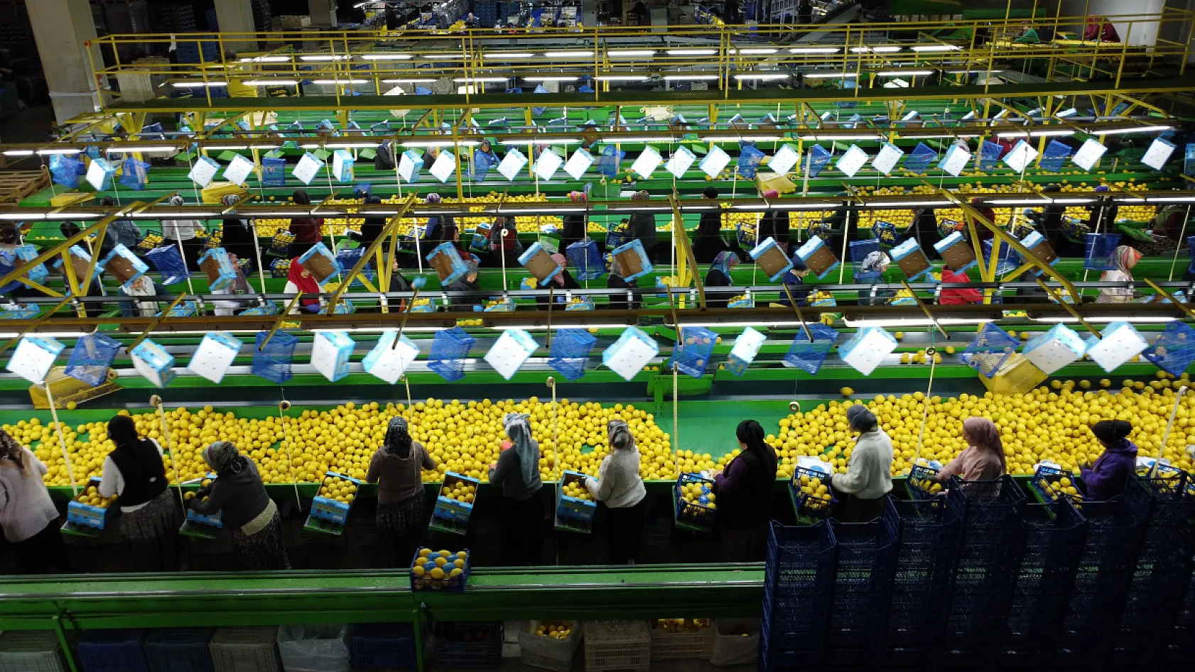 Limonda stokçuların oyunu ortaya çıktı