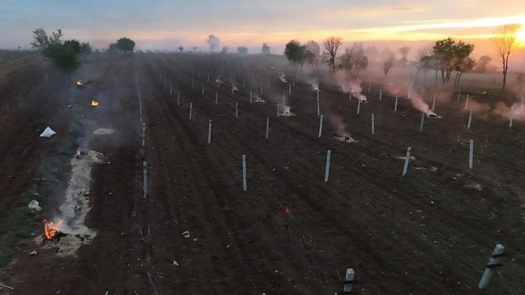 Çiftçiler sabaha kadar ürünlerini korudu