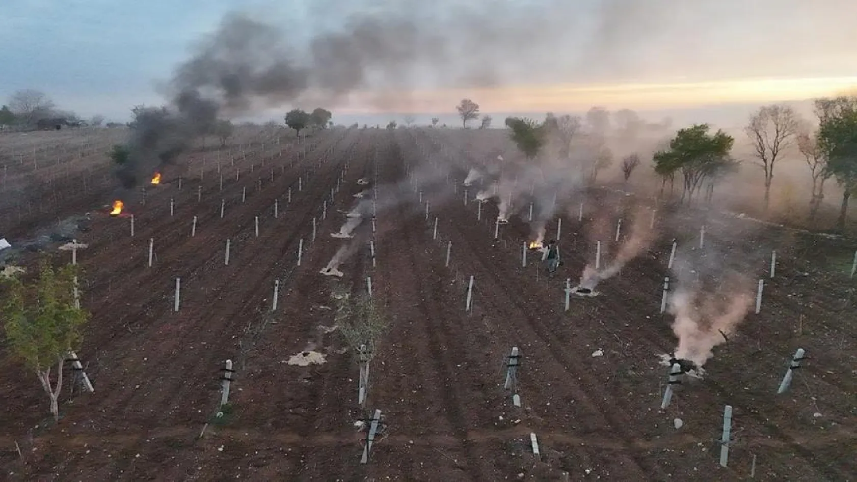 Çiftçiler sabaha kadar ürünlerini korudu