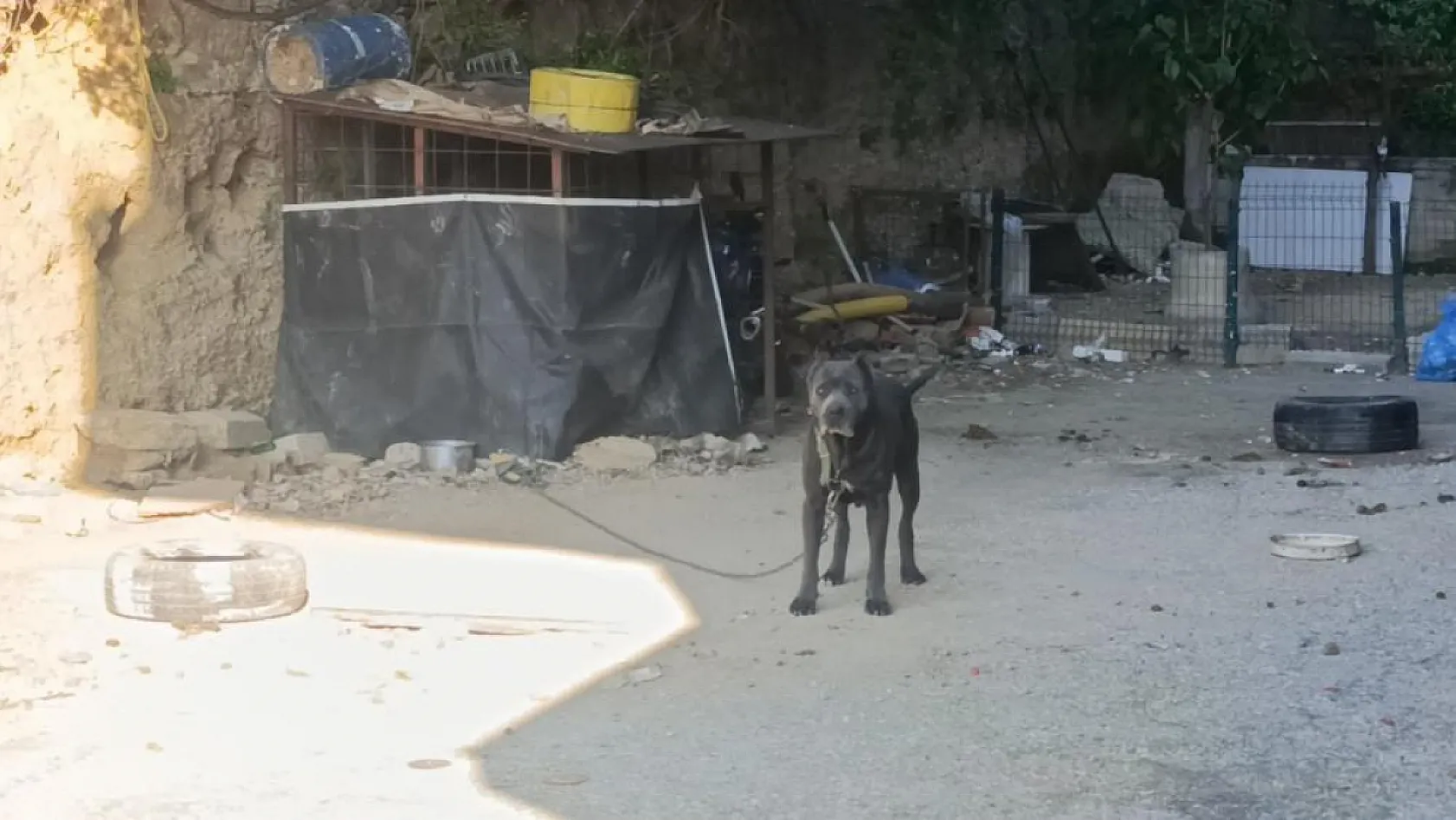 Böylesi ilk defa görüldü, motosikletini sakladığı yer jandarmayı bile şaşkına çevirdi
