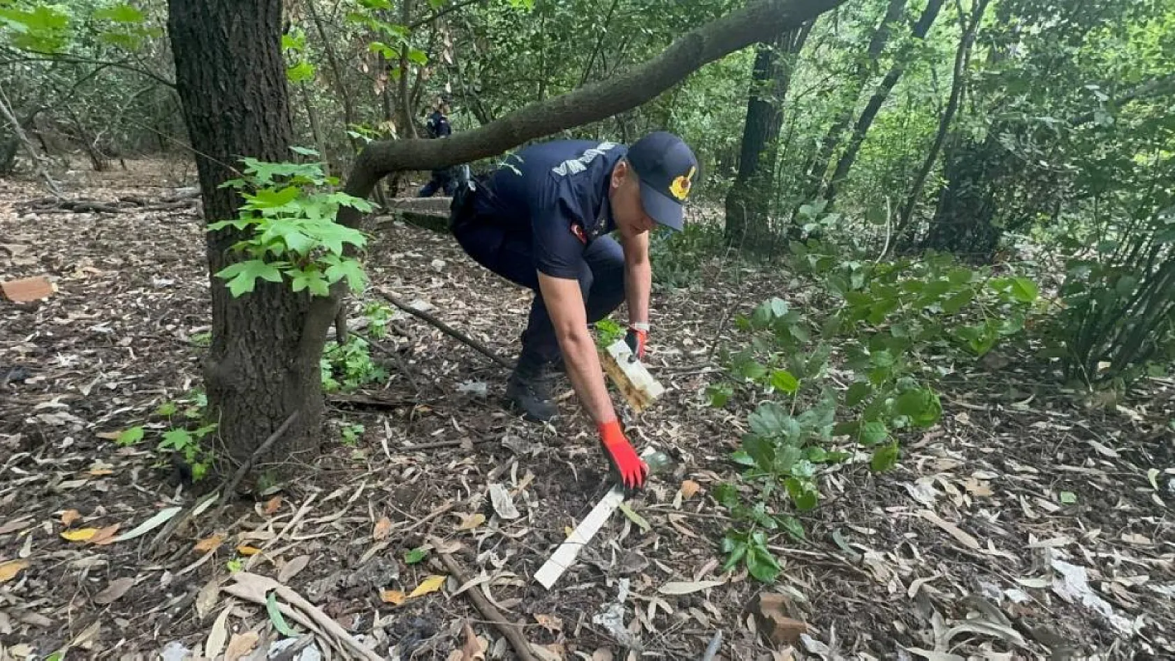 Marmaris 'Orman benim ' diyerek bir saatte bir römork dolusu çöp topladı