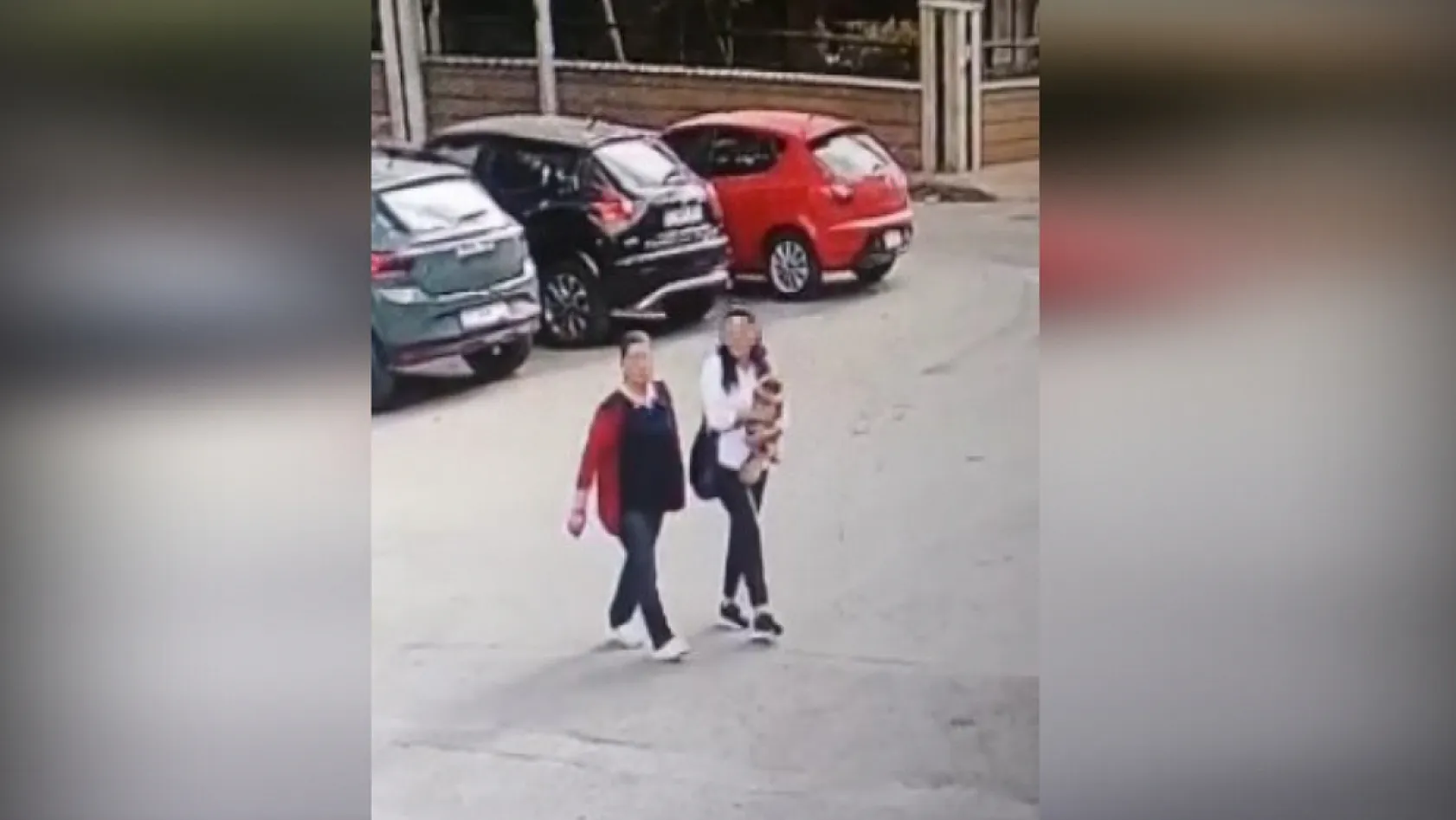 Güzellik yarışmasında birinci seçilip kaybolan köpek bulundu, sahipleri sevince boğuldu