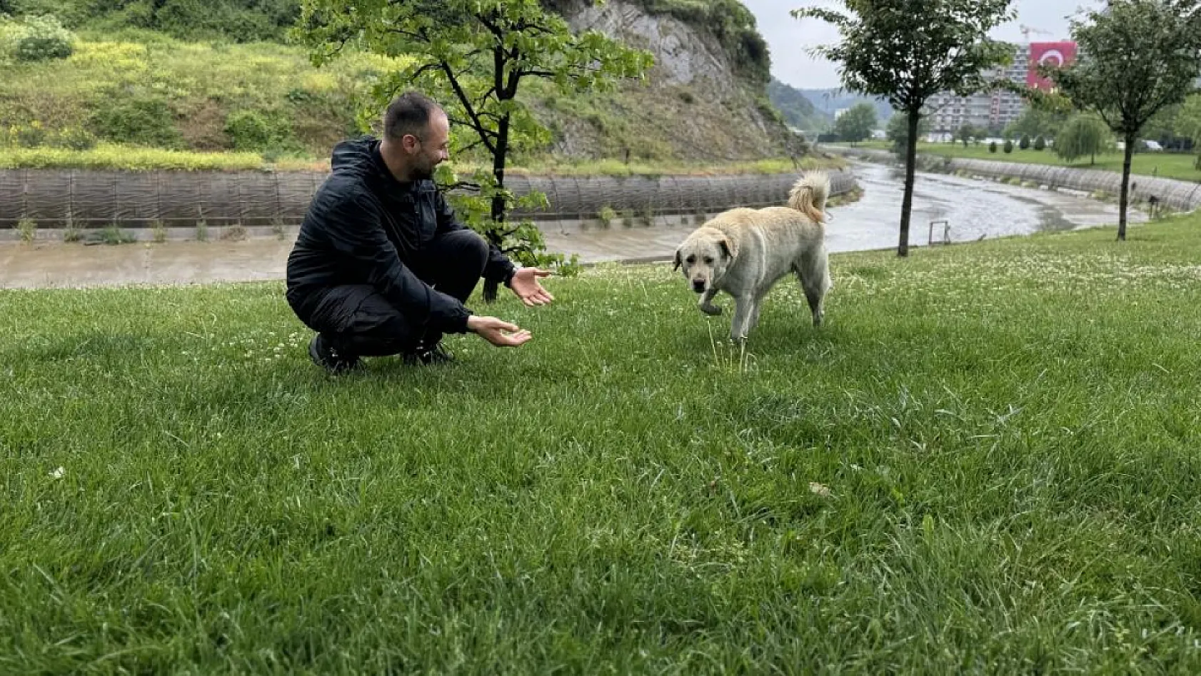 Bankada mahsur kalan köpek alarm sistemini devreye soktu: Çevredekiler hırsız var sandı
