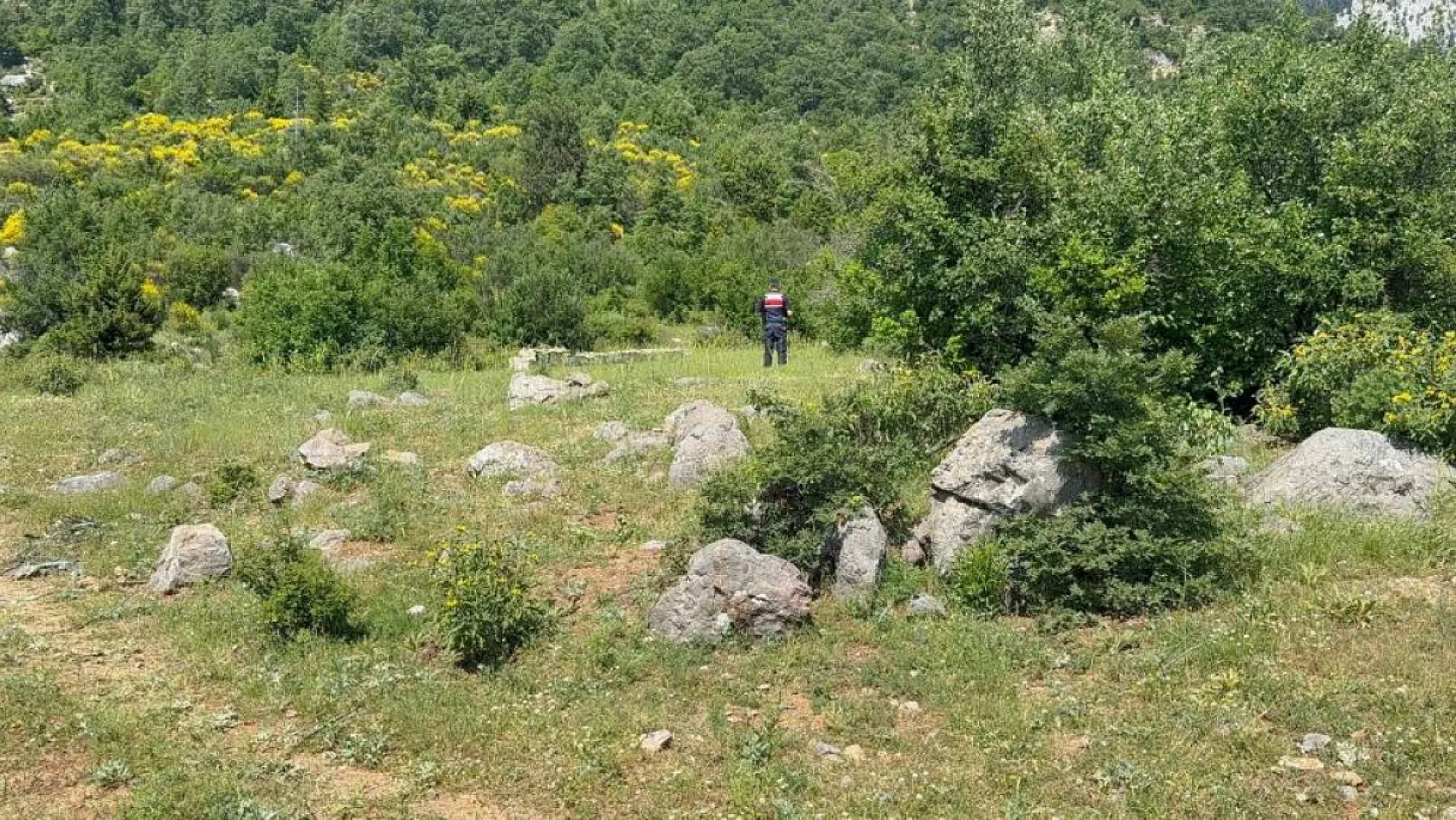 Yayla yolunda kaybolan yaşlı adam 300 kişilik ekiple aranıyor