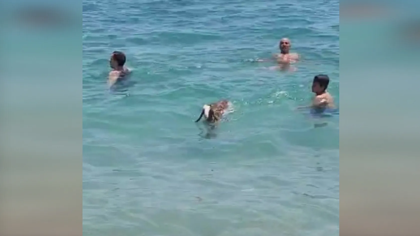 Hemcinsleri bıçak altına yatarken o deniz keyfi yaptı