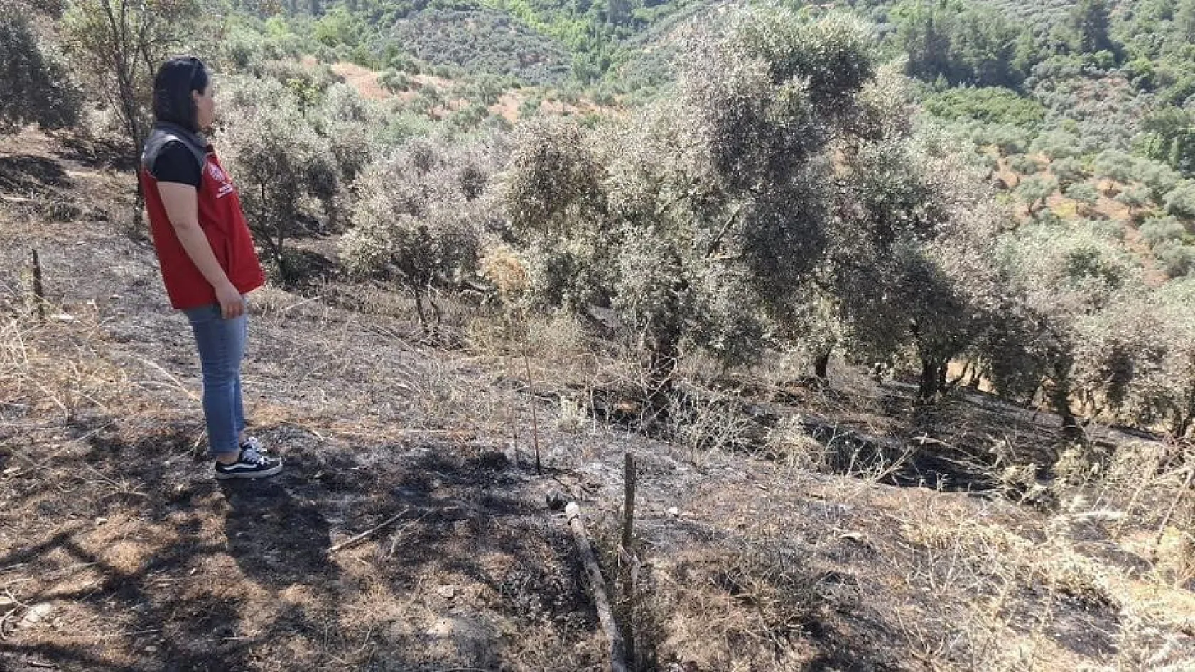 Menteşe'de yangın sonrası hasar tespiti yapıldı