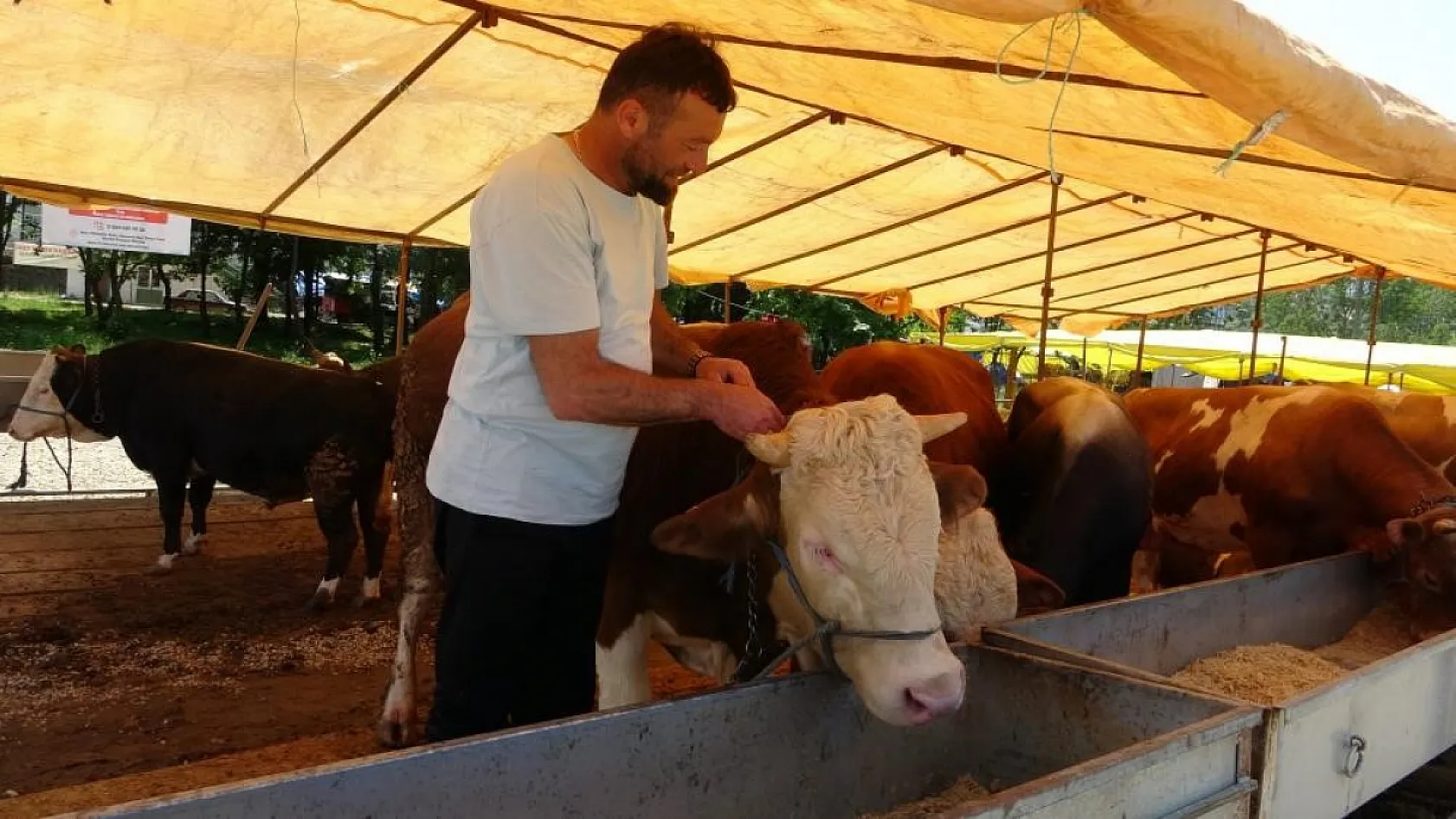 Ülke genelinde tüm hayvan pazarları kapatıldı