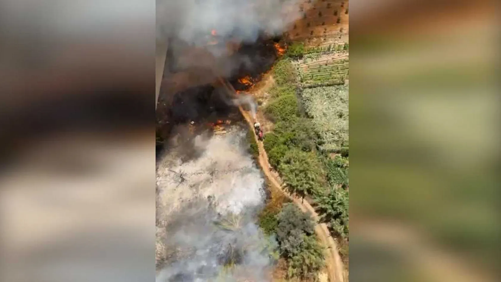 Antalya Muratpaşa'da orman yangını