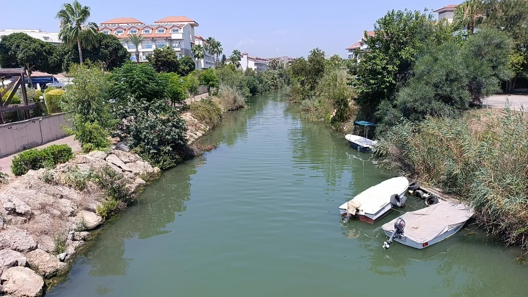 Antalya'da saldırgan Nil kaplumbağası uyarısı