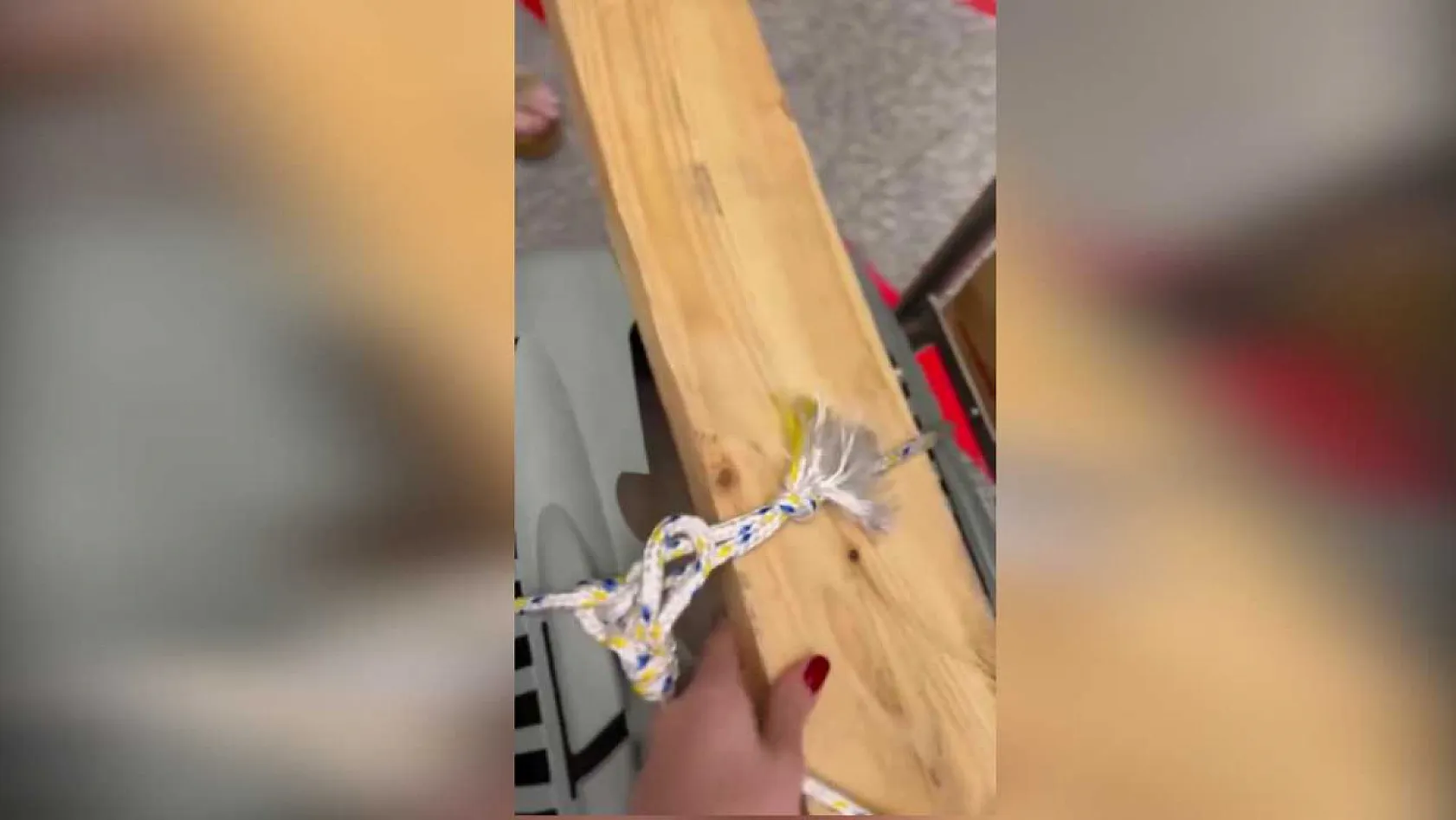 Uçağın kargo bölümüne verdiği evcil hayvanlarını teslim alınca çılgına döndü