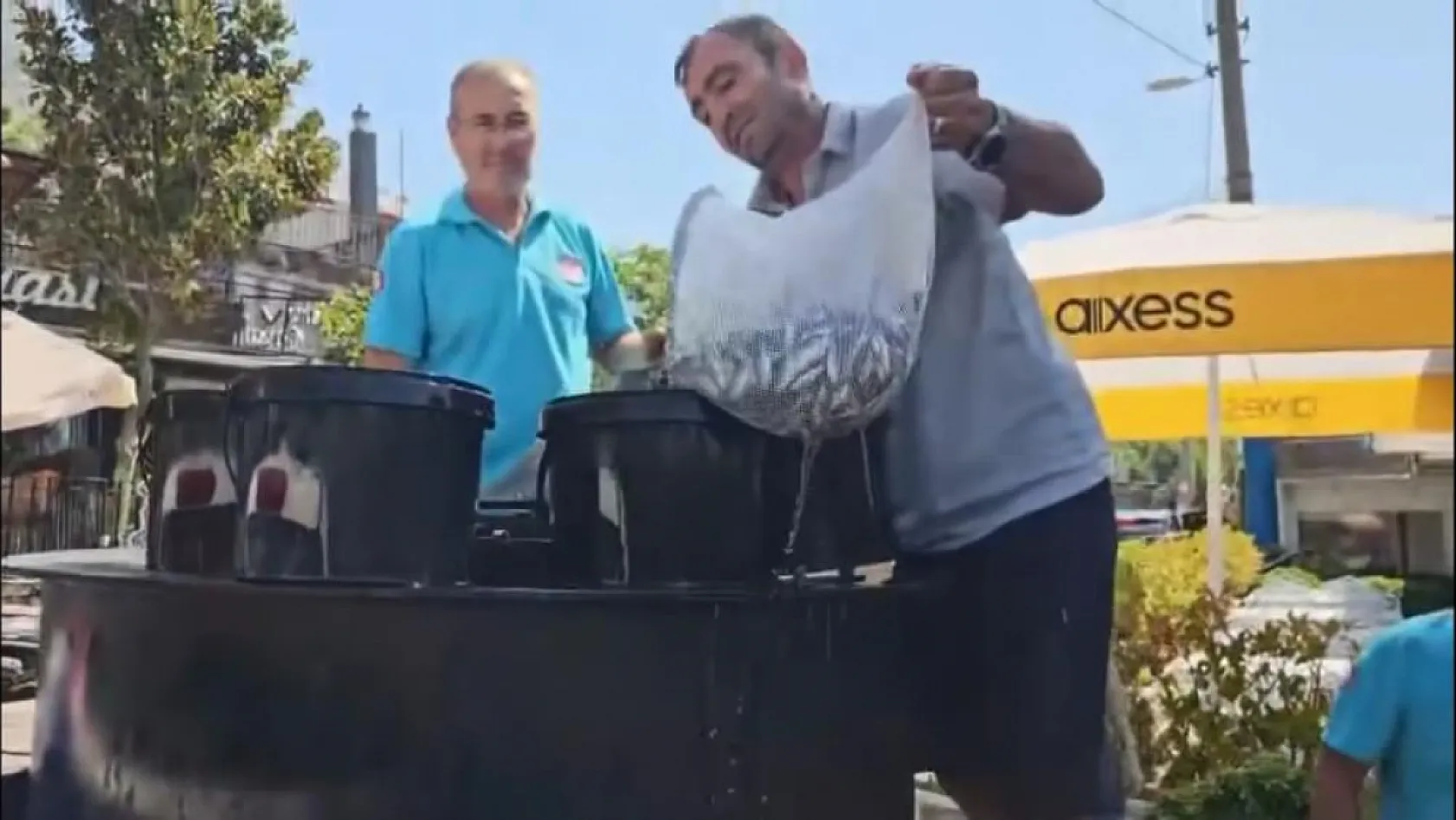 Muğla Kadın Azmağı'na 35 Bin Levrek Yavrusu Bırakıldı