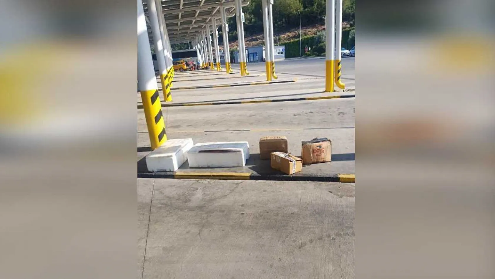Muğla otobüs terminalinde sahipsiz midyelere el konuldu