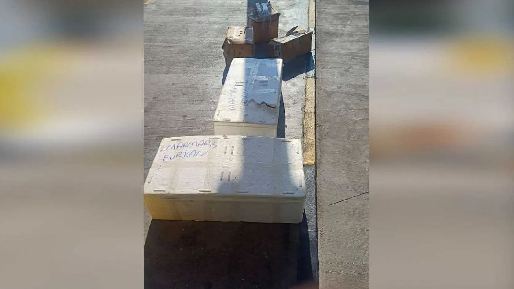 Muğla otobüs terminalinde sahipsiz midyelere el konuldu