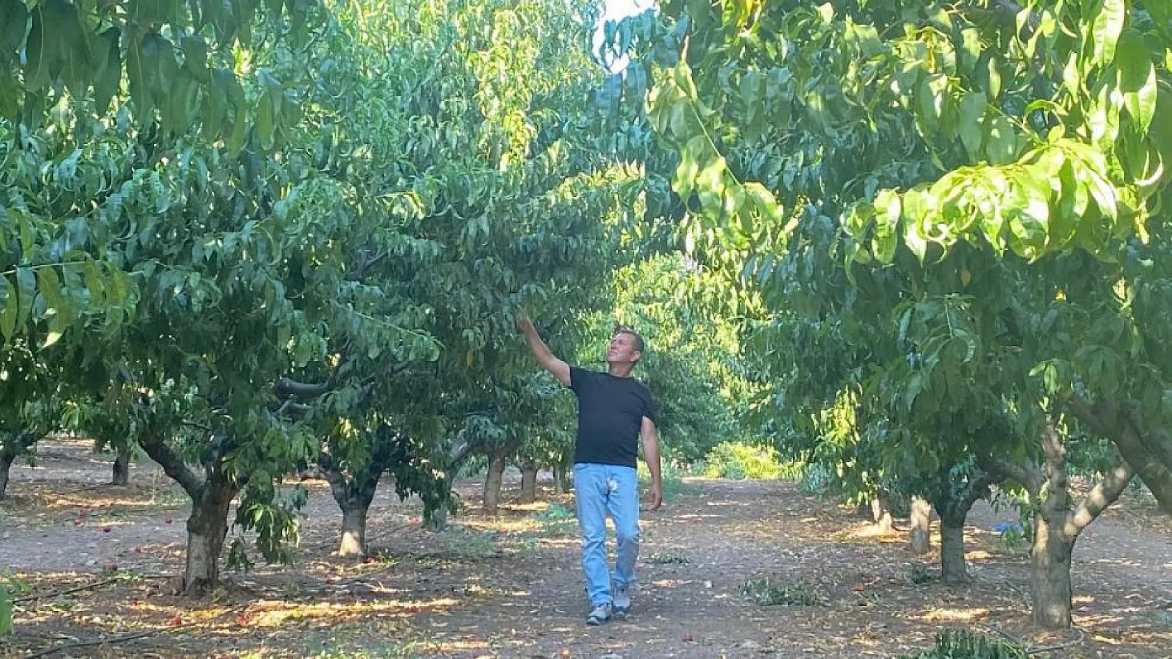 Türkiye'nin yüreğini yakan yangında yüzleri gülümseten görüntü