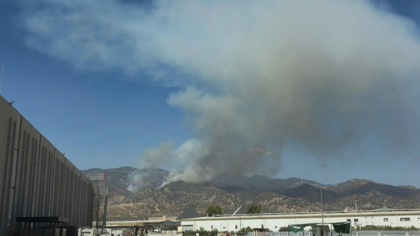 Aydın'da orman yangını