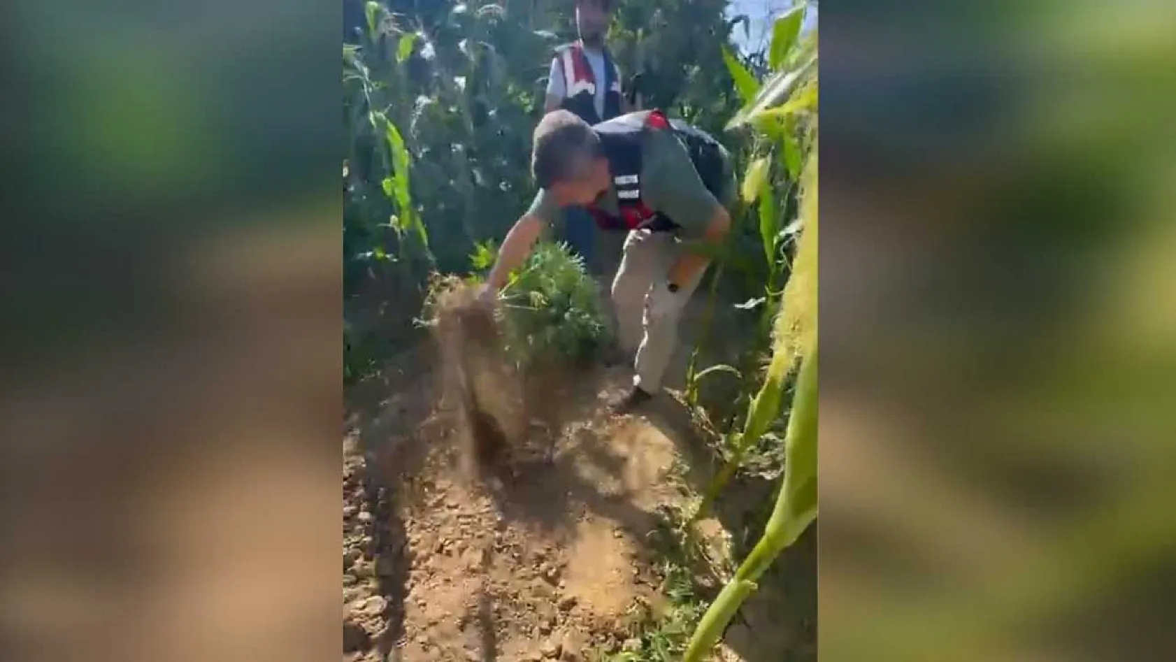 Muğla'da uyuşturucu madde üreten zahir taciri yakalandı