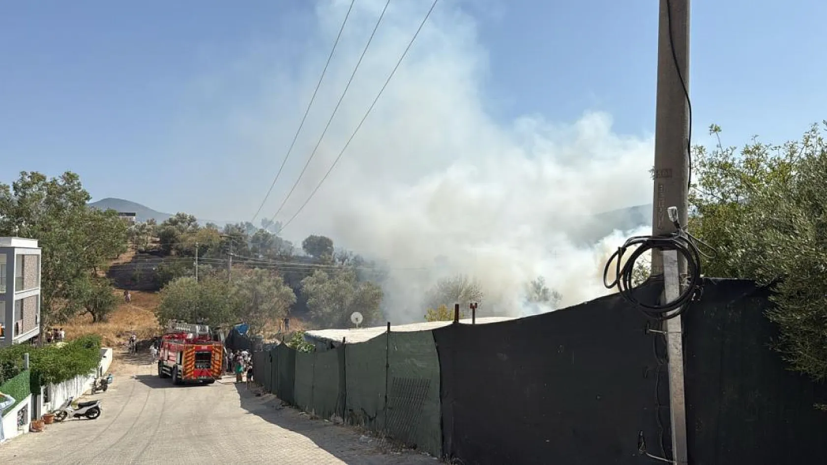 Bodrum'da otluk ve zeytinlik alanda yangın