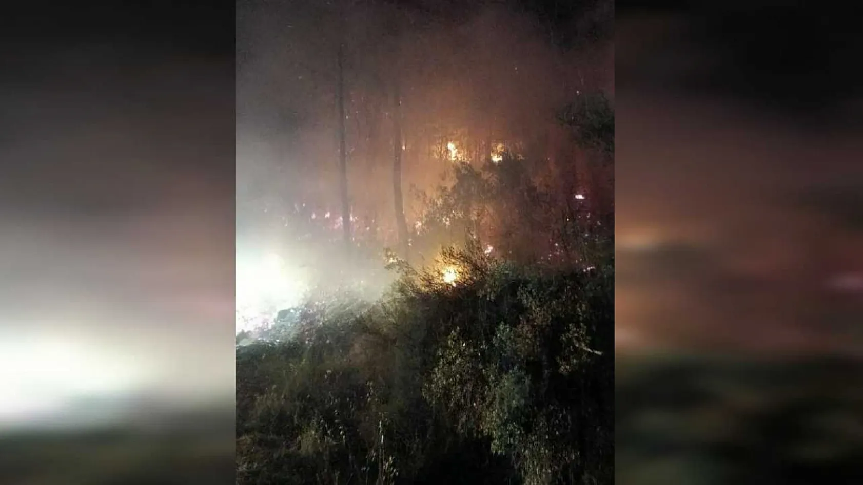 Köyceğiz'de Orman yangını, ekiplerin hızlı müdahalesi ile yangın kontrol altına alındı