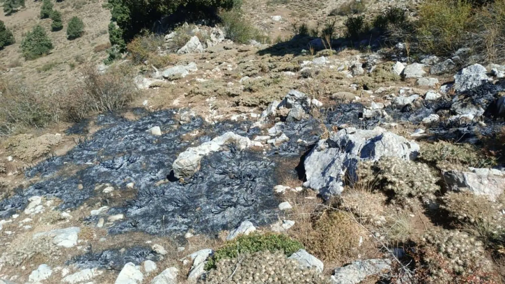 Burdur'da çalılık alanda yangın