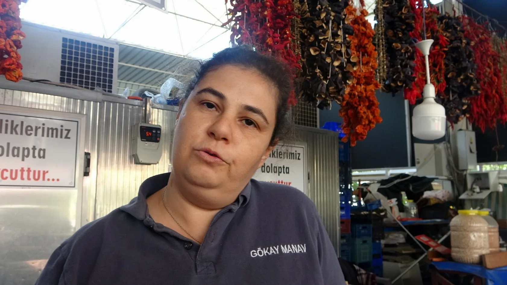 Muğla'da kurutmalıklar yurt dışına açıldı