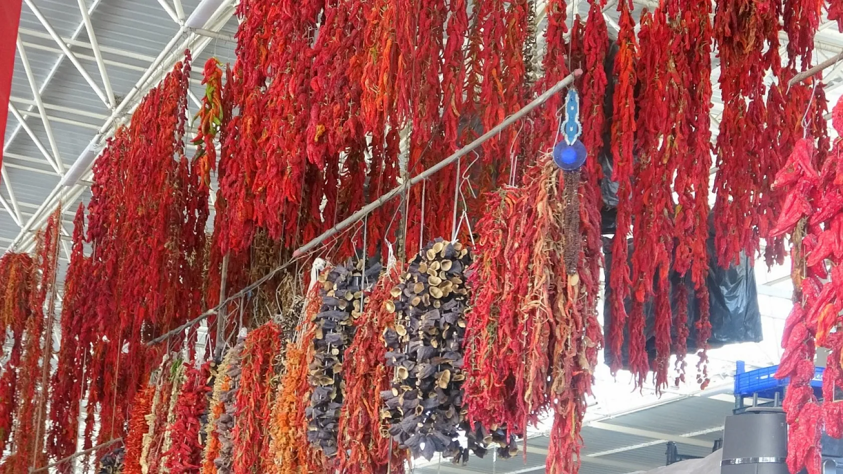 Muğla'da kurutmalıklar yurt dışına açıldı