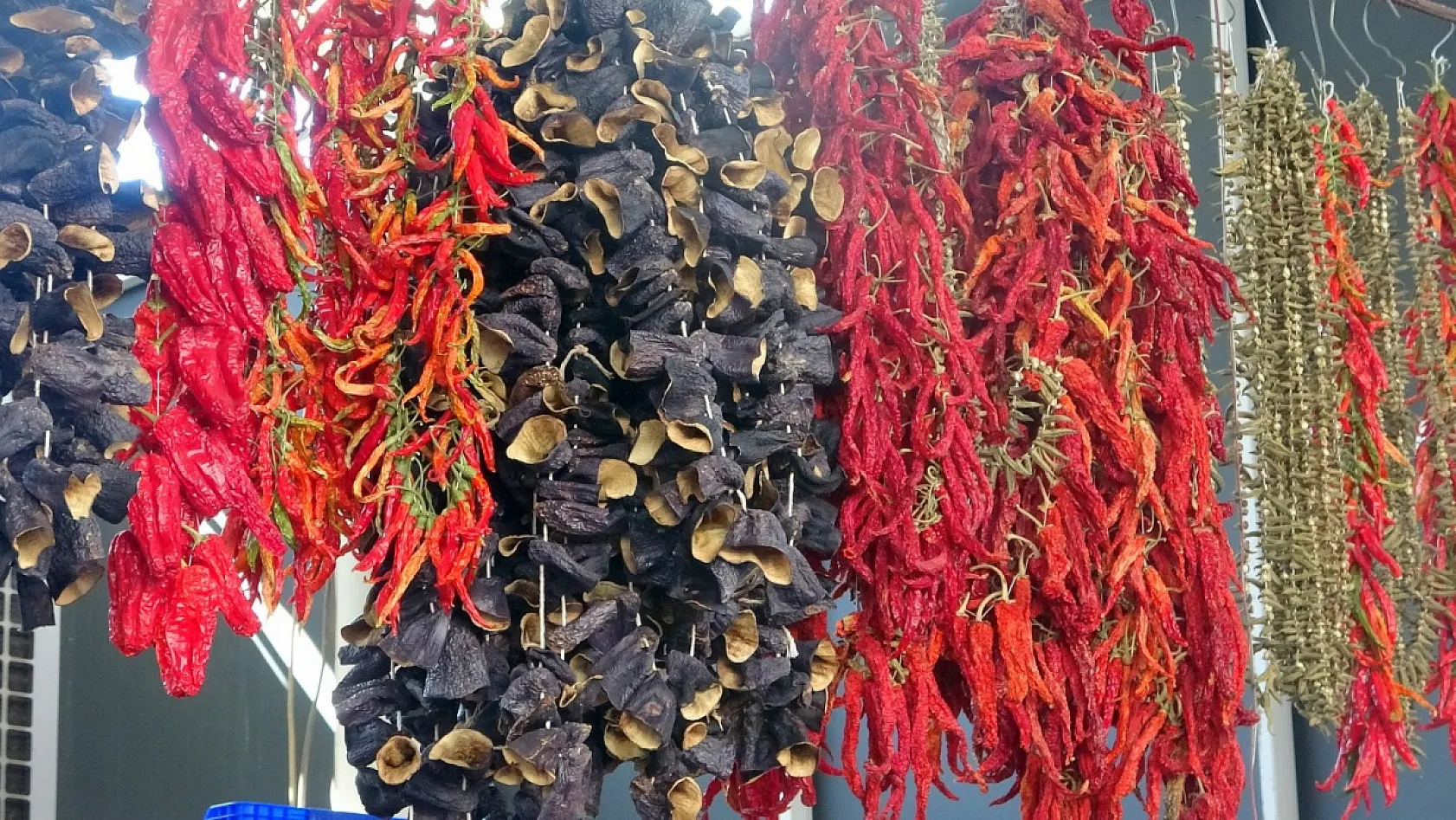 Muğla'da kurutmalıklar yurt dışına açıldı