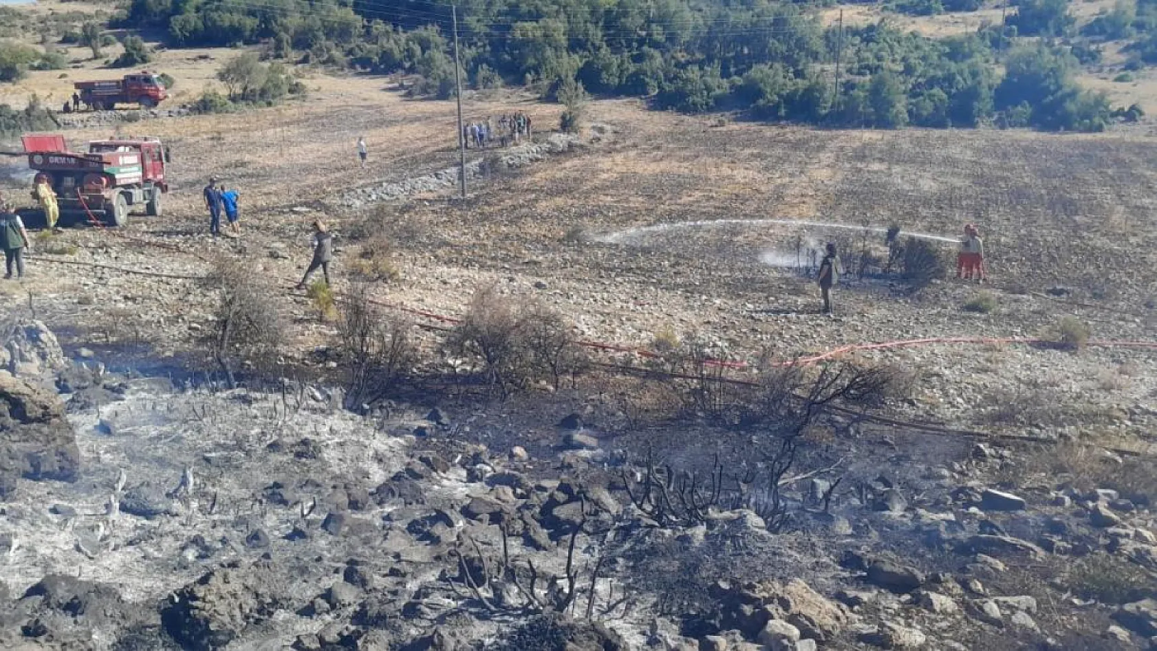 Muğla Menteşe'de çıkan yangın söndürüldü