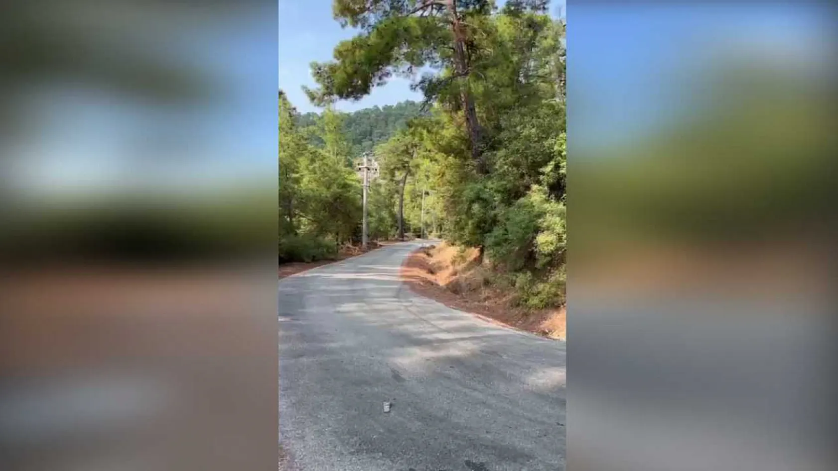 Marmaris orman ekipleri yıl boyunca yangınlara karşı teyakkuzda