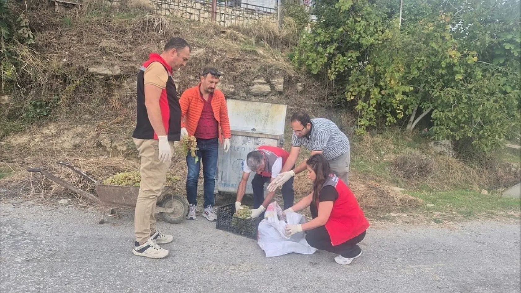 Muğla'da hasat öncesi denetimlerde yasaklı maddeye geçit yok