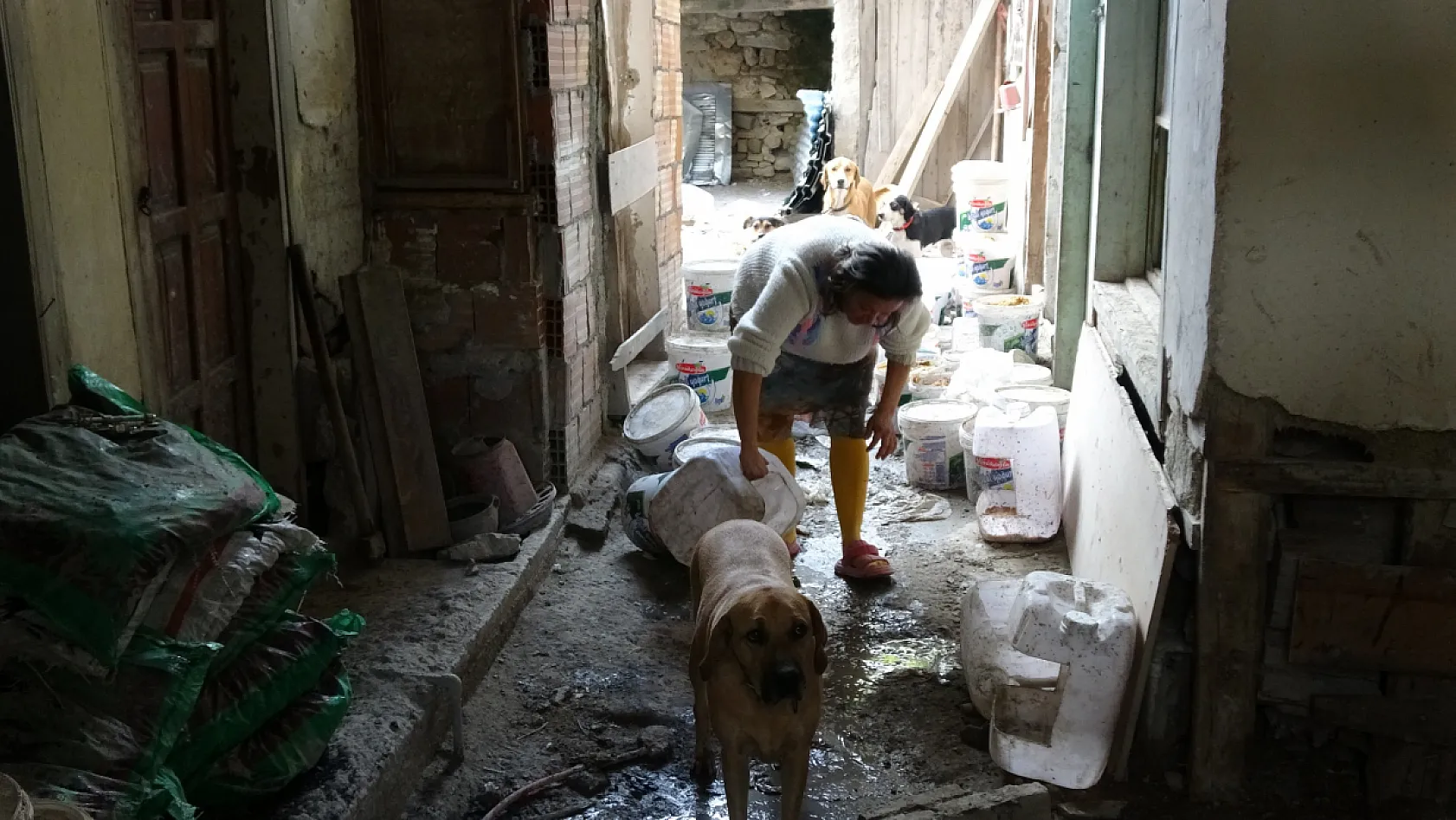 Ev sahibiyle kiracının 'çöplüğe dönmüş bahçe' kavgası