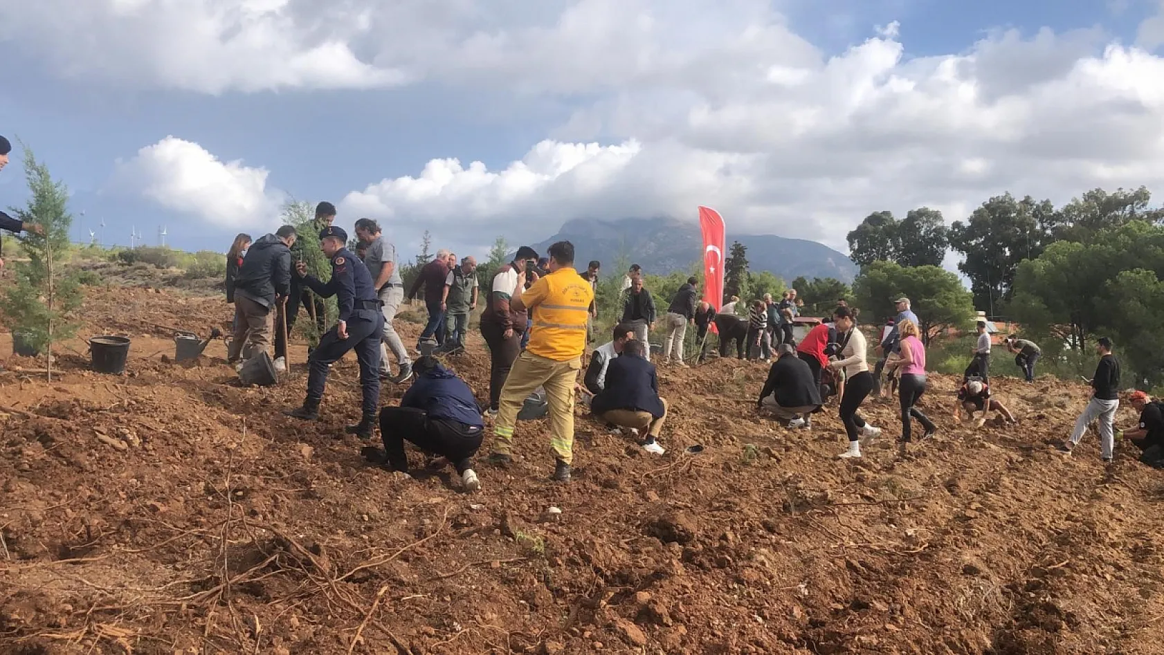 Datça'da fidanlar toprakla buluştu