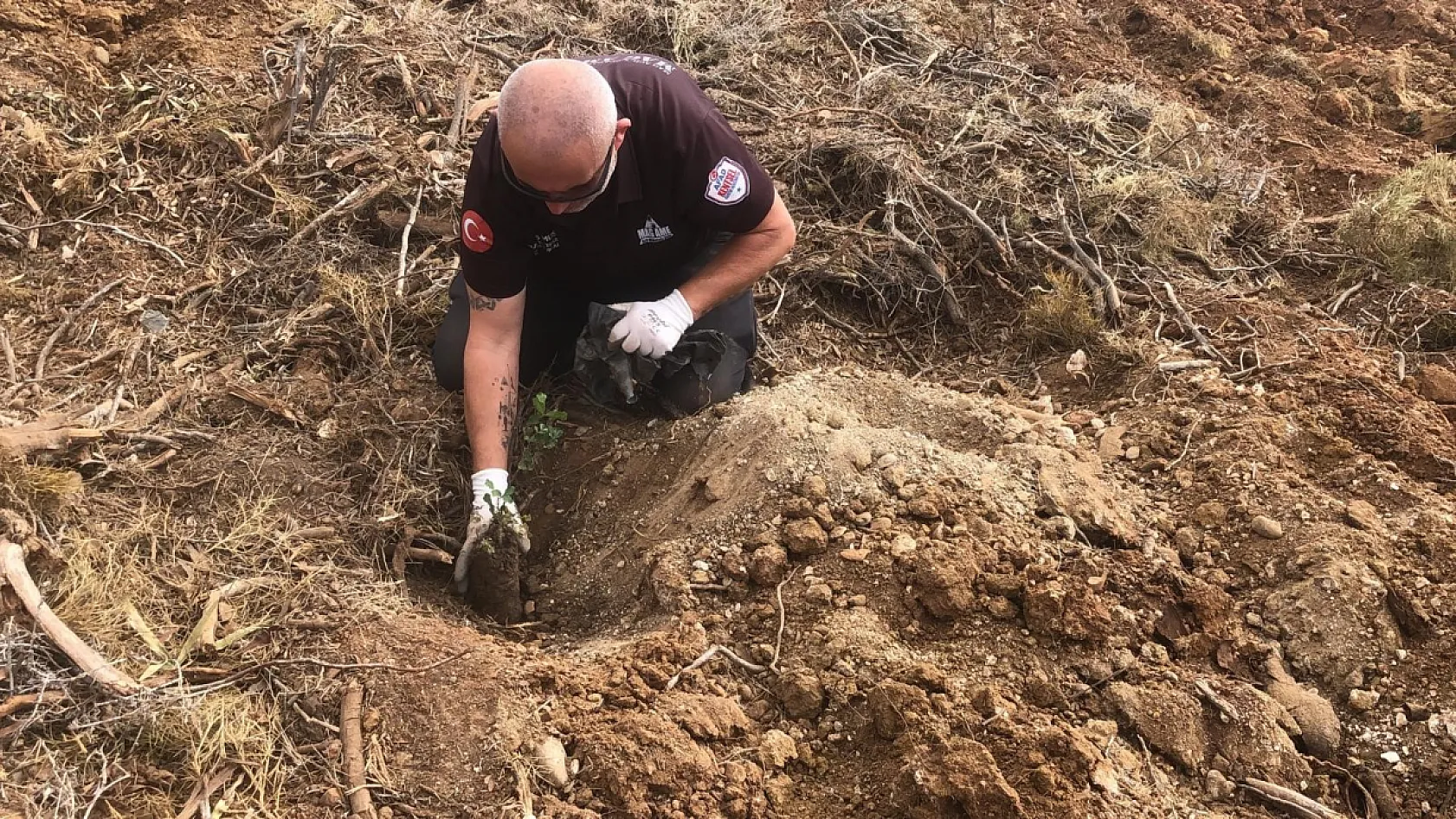 Datça'da fidanlar toprakla buluştu