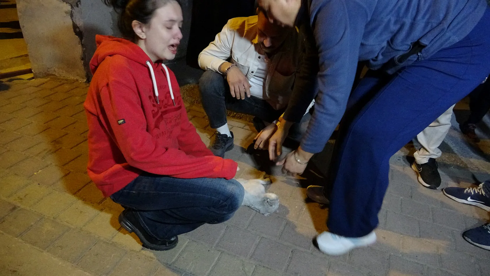 Yangında 2 kedi telef oldu, sahipleri gözyaşlarına boğuldu