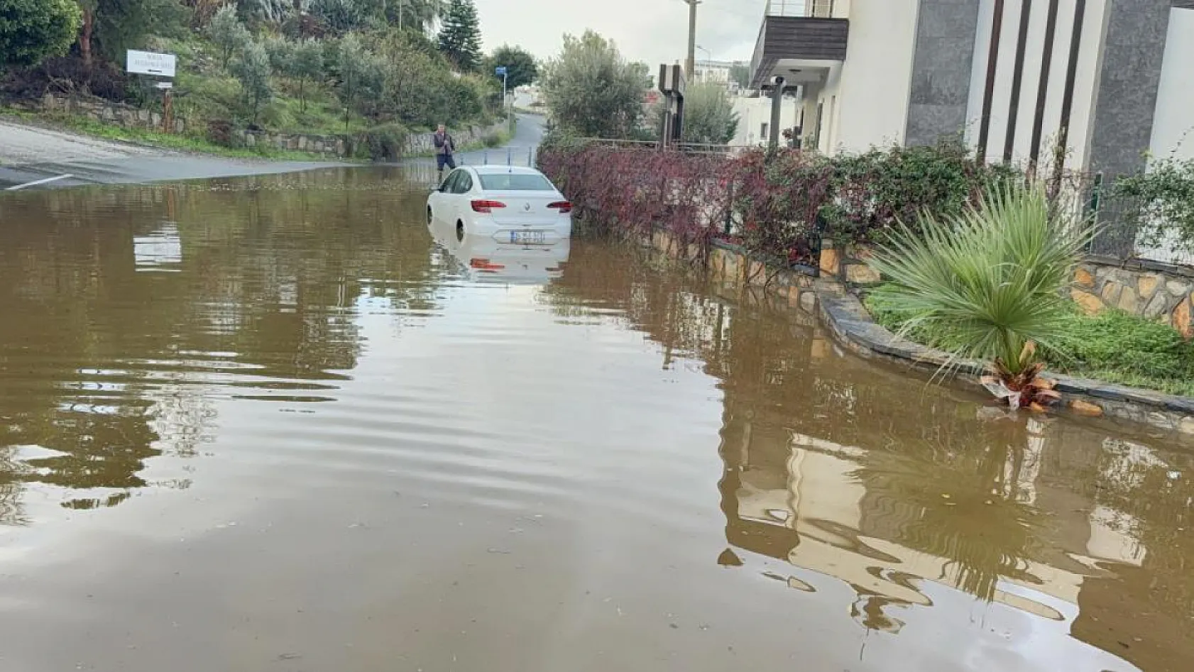 Bodrum'da sel sonrası yaralar sarılıyor