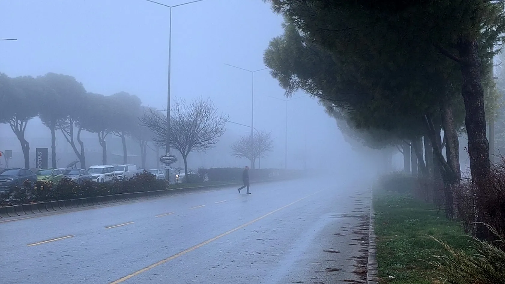 Muğla'da yoğun sis etkili oldu