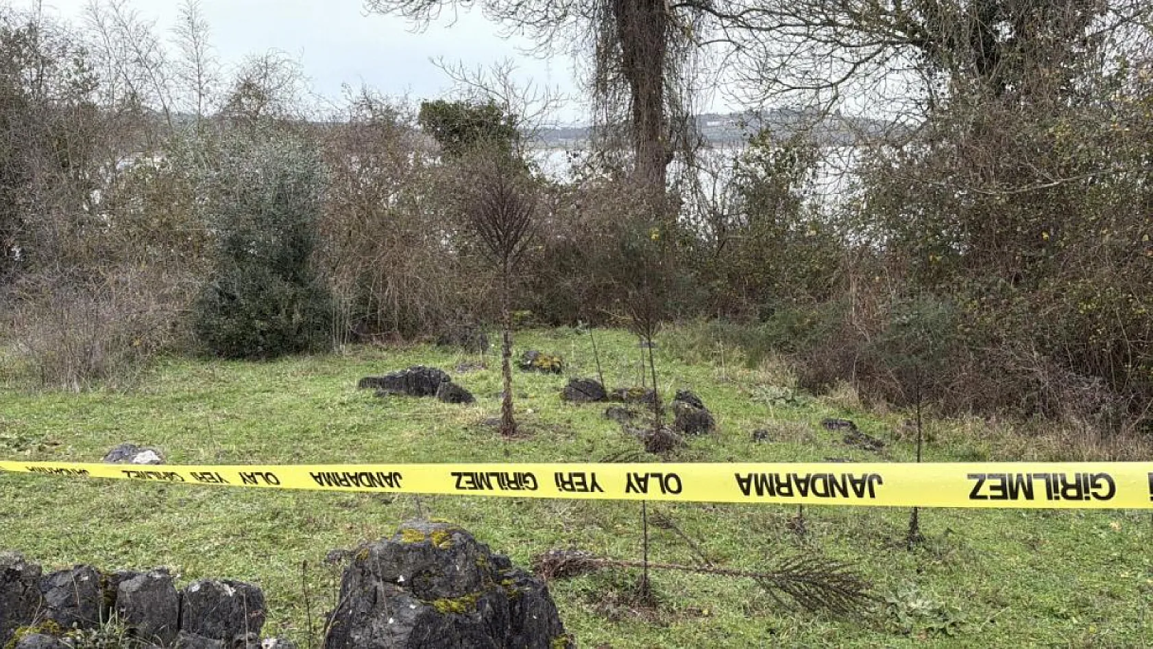 Kayıp olarak aranan adam ormanlık alanda ölü bulundu