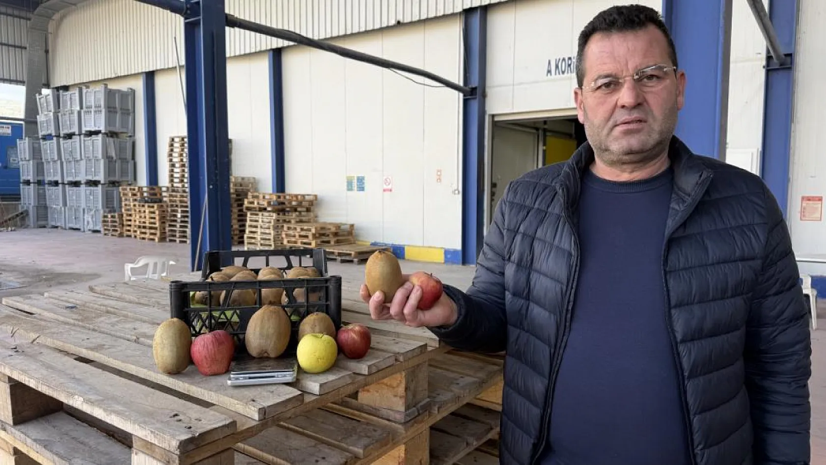 4 Tanesi 1 Kilo Gelen Dev Kiviler Avrupa'nın da Dikkatini Çekti