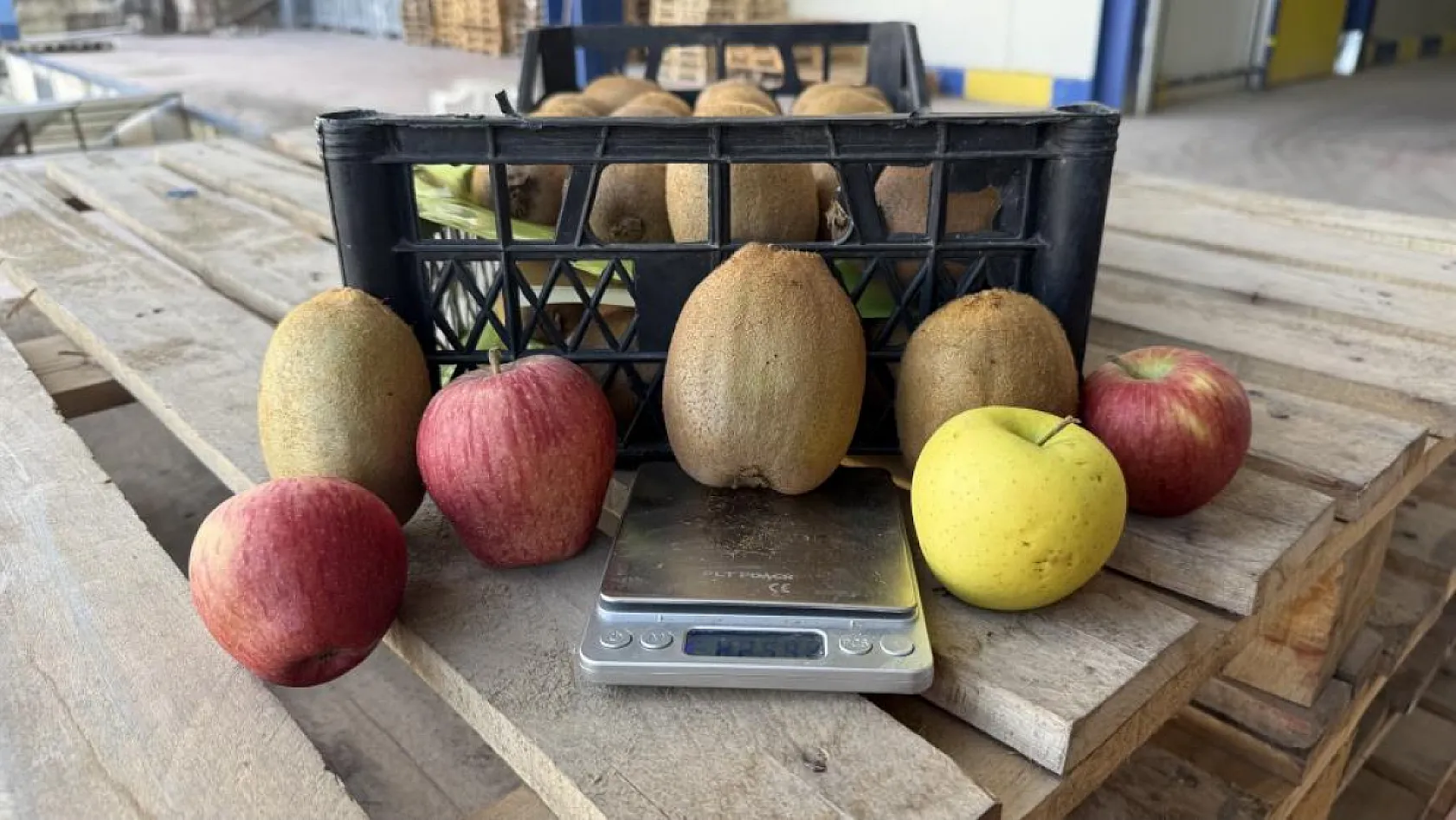 4 Tanesi 1 Kilo Gelen Dev Kiviler Avrupa'nın da Dikkatini Çekti