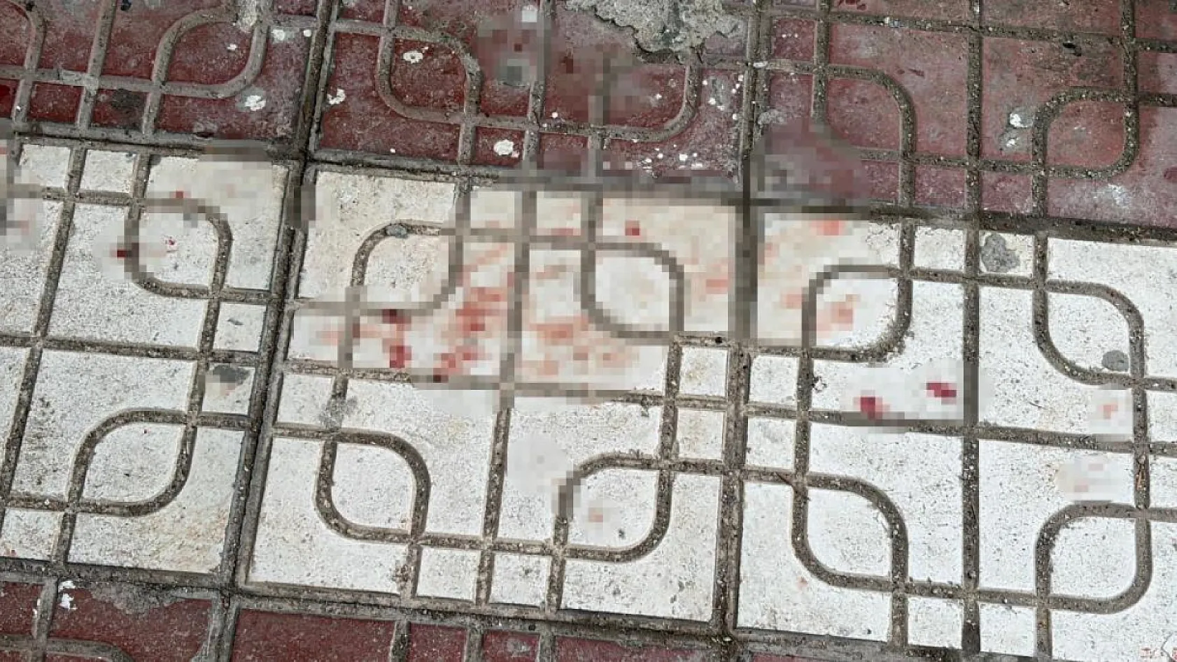 Cinnet geçiren koca, eşini kızını ve annesini öldürdü
