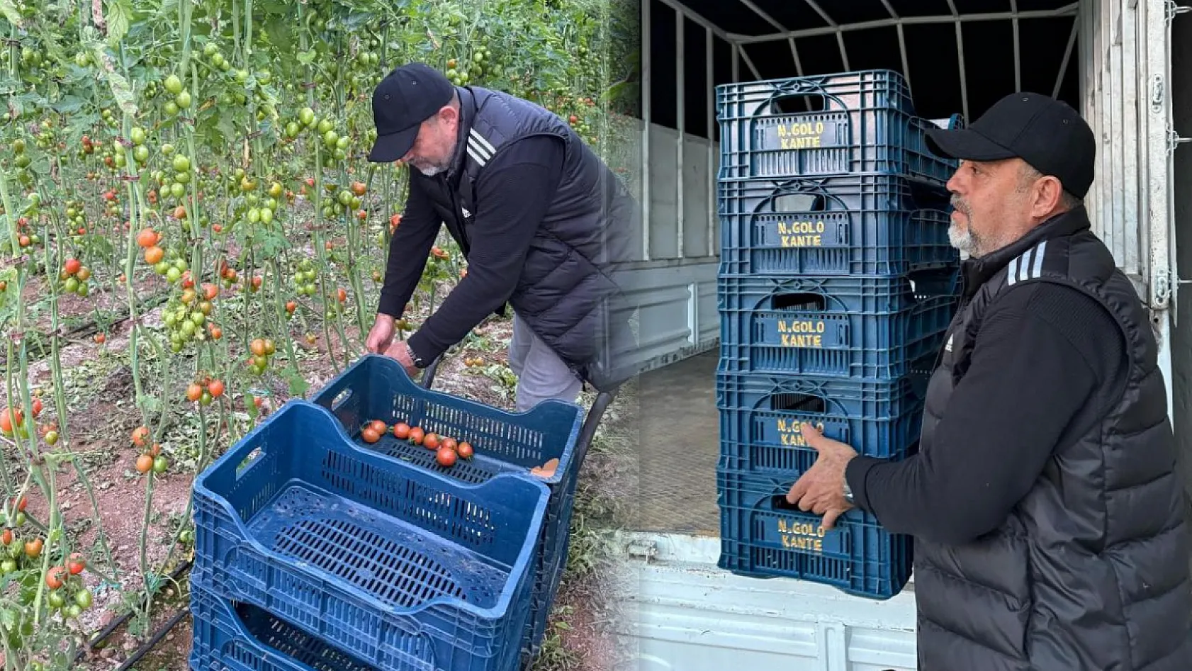Fanatik üreticinin 'Kante' sevgisi: Domatesleri topladığı kasaya bile onun adını yazdırdı