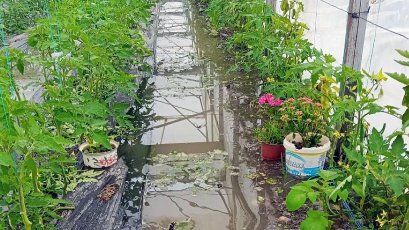 Köyceğiz, Ortaca ve Dalaman'da Sel Sonrası Ön Hasar Tespiti