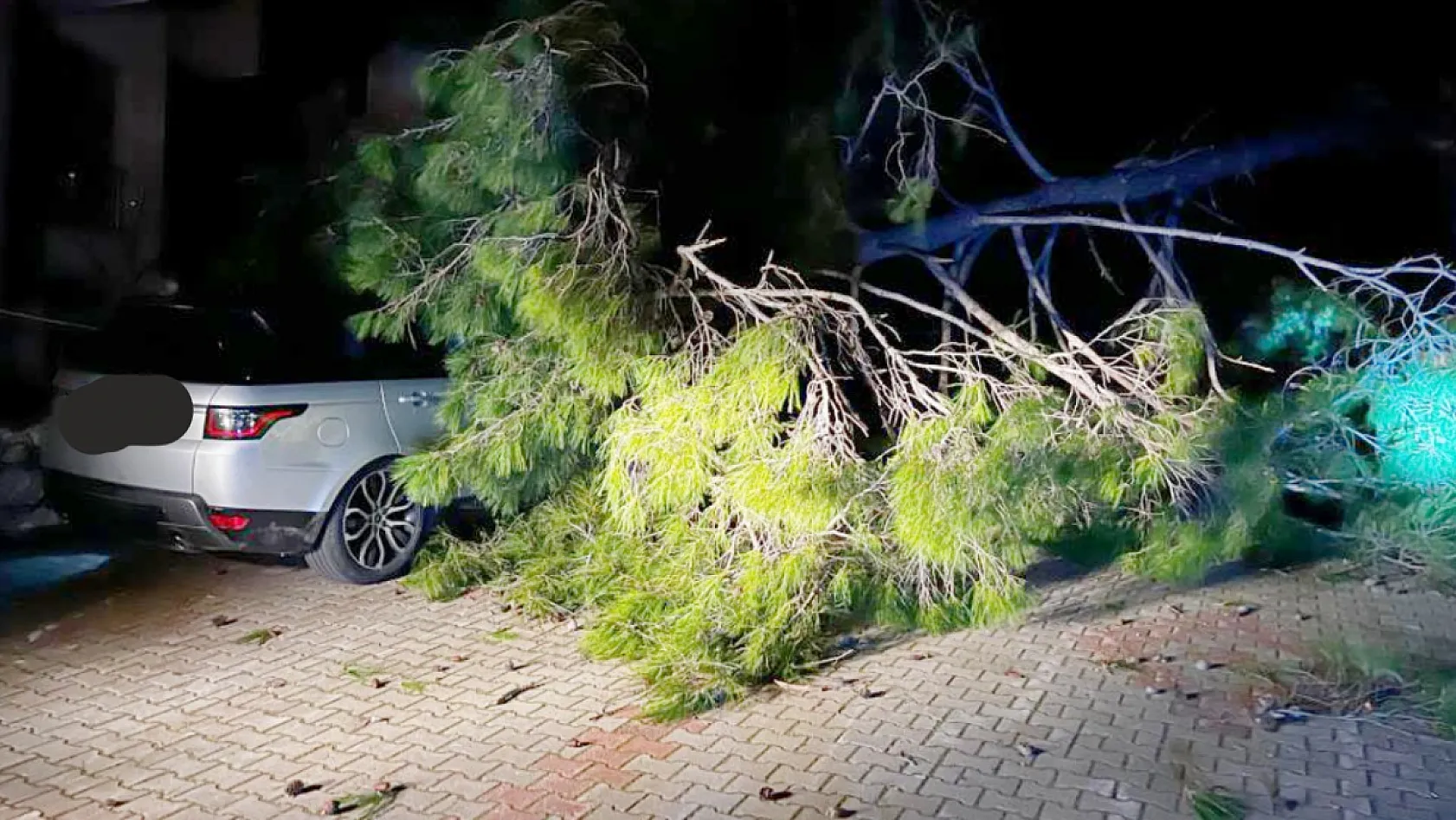 Marmaris'te fırtına ağaç devirdi: 1 kişi yaralandı