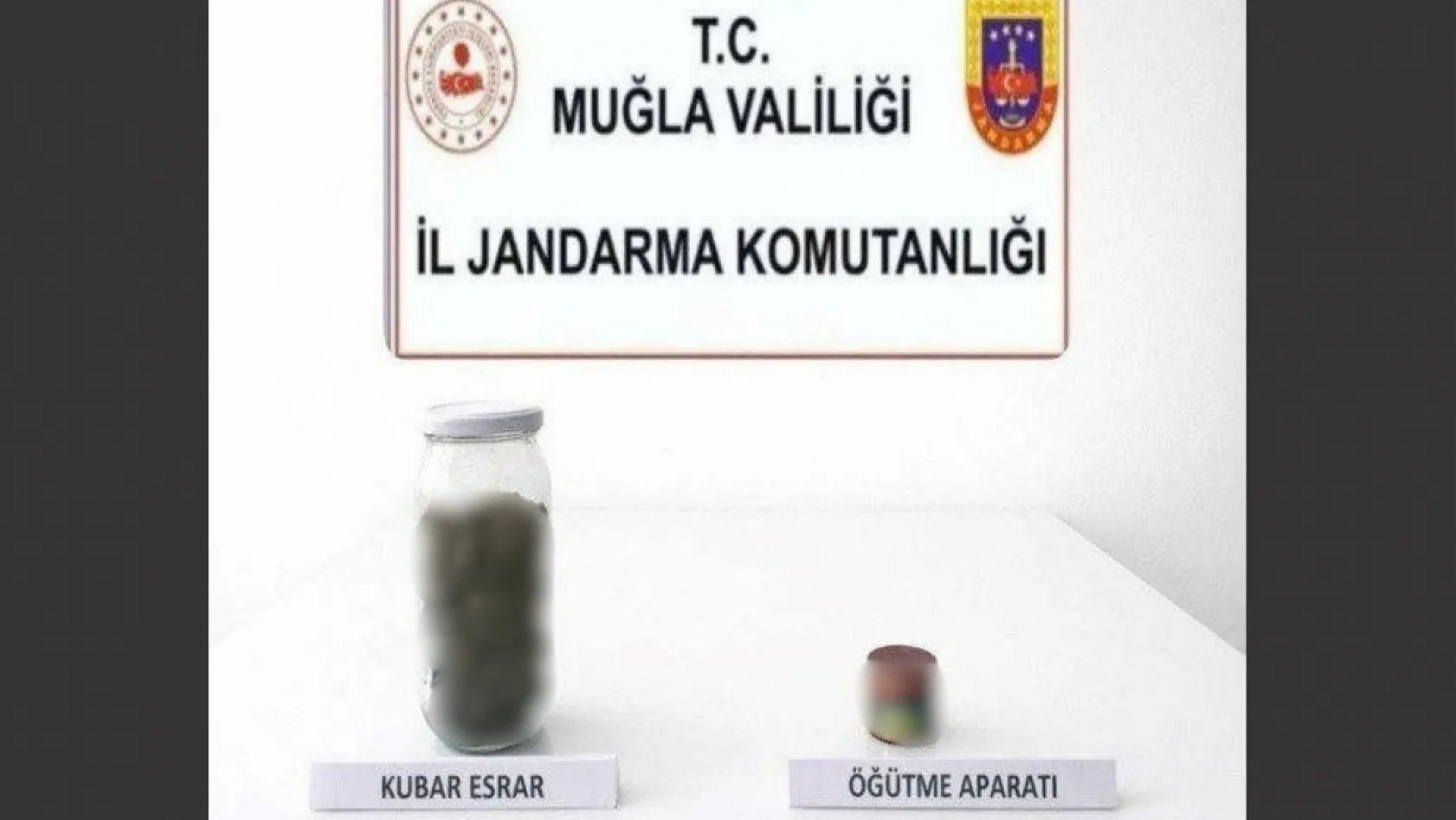 Muğla'da bin 268 adet uyuşturucu hap ele geçirildi