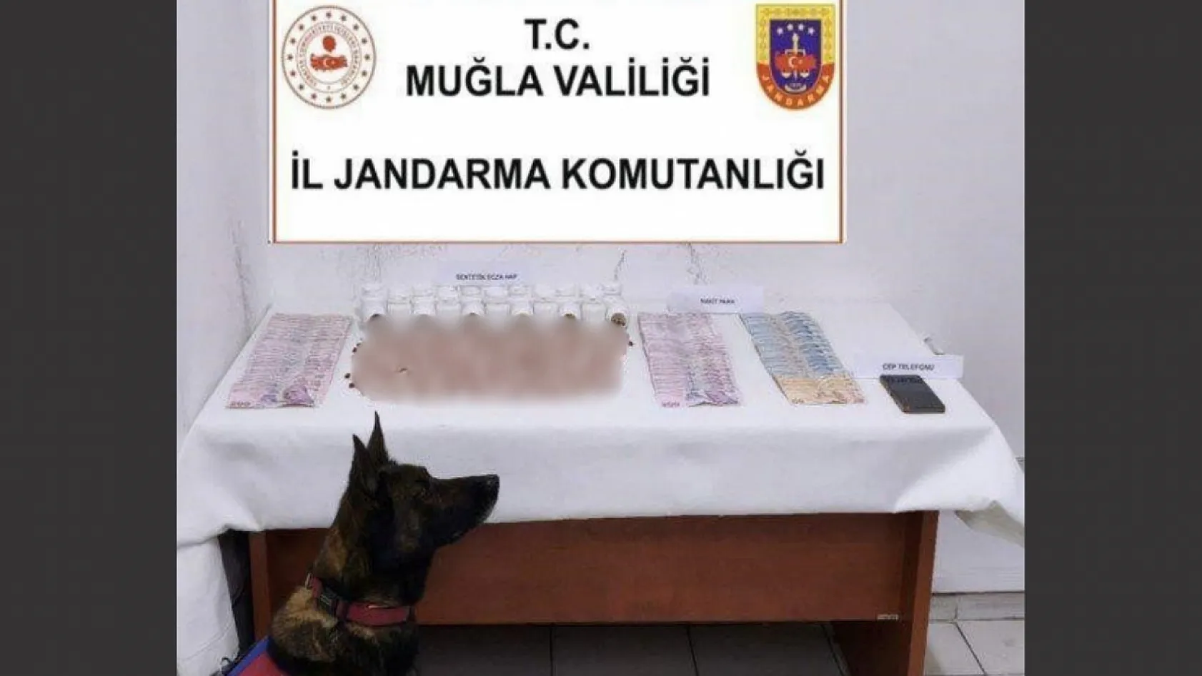 Muğla'da bin 268 adet uyuşturucu hap ele geçirildi