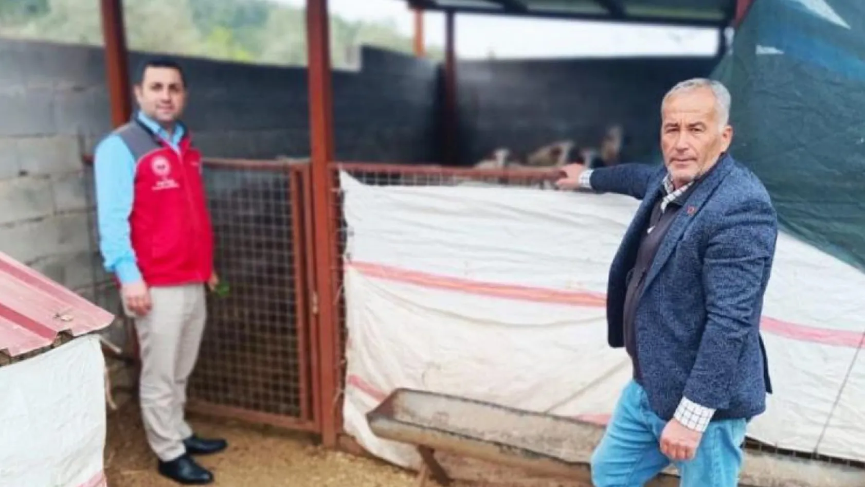 Menteşe'de çiftçiye uygulamalı eğitim